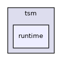 include/tsm/runtime